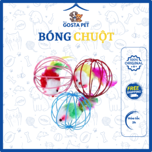 Bóng chuột