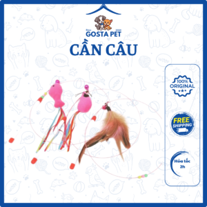 Cần câu