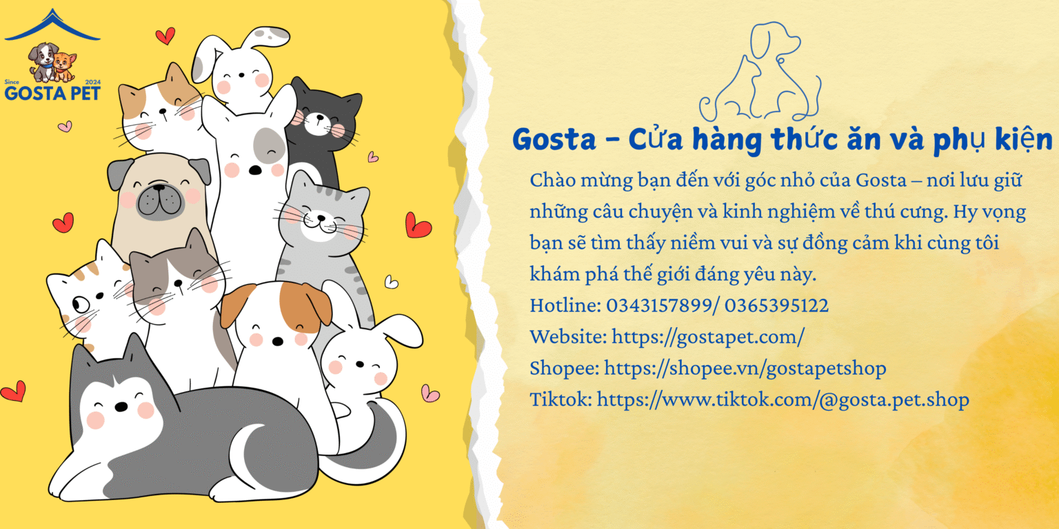 Blog Gosta